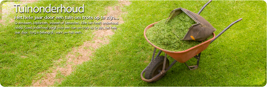 Bart Nab Tuinen, tuinaanleg, tuinonderhoud en tuinrenovatie.