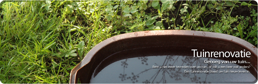 Bart Nab Tuinen, tuinaanleg, tuinonderhoud en tuinrenovatie.